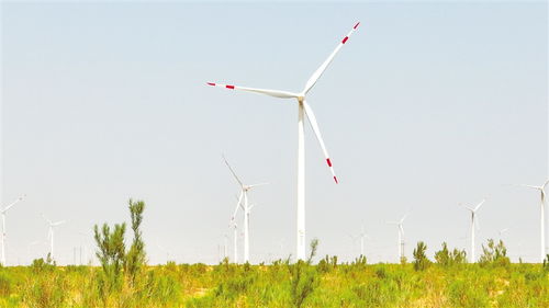 全國(guó)黨報(bào) 新媒體 甘肅武威調(diào)研行 天馬故里 大美涼州