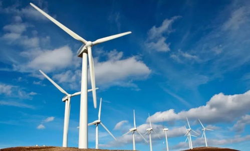 風(fēng)力發(fā)電的危害有多大 歐美都紛紛叫停,為啥我國(guó)依舊大力建造